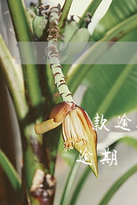 貸款逾期多少天納入關(guān)注(貸款逾期幾天會(huì)通知家人)
