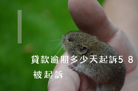 貸款逾期多少天起訴（58借款逾期多少天會被起訴）
