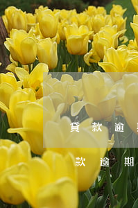 貸款逾期多少年會(huì)被起訴(銀行貸款逾期多久會(huì)被起訴)