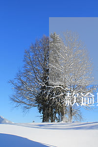 貸款逾期多少影響貸款 貸款逾期多少金額
