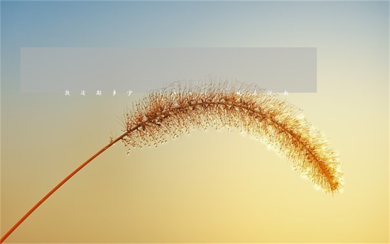 貸款逾期多少會(huì)被法院起訴