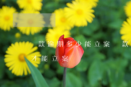 貸款逾期多少能立案(貸款逾期銀行起訴多久才能立案)