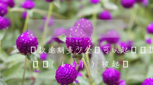 貸款逾期多少金額可以起訴（貸款逾期多少金額會(huì)被起訴）