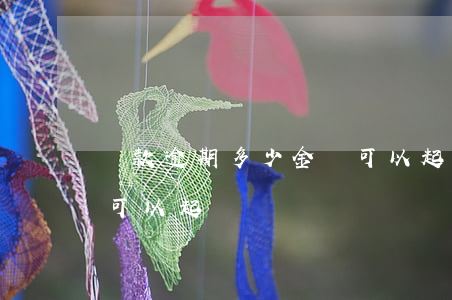 貸款逾期多少金額可以起訴(貸款逾期多少錢可以起訴)