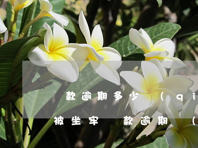 貸款逾期多少錢(qián)會(huì)被坐牢(貸款逾期會(huì)被拘留嗎)