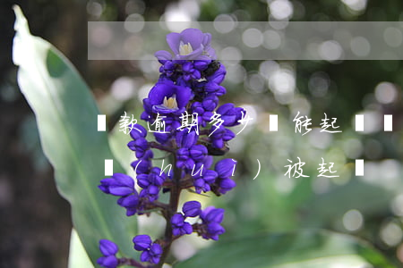 貸款逾期多少錢能起訴(銀行貸款逾期多少錢會(huì)被起訴)