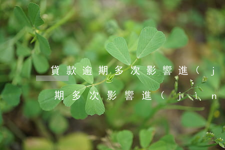 貸款逾期多次影響進(jìn)場嗎(貸款逾期多次影響進(jìn)場嗎)