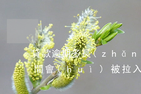 貸款逾期多長(zhǎng)時(shí)間會(huì)被拉入黑名單-貸款逾期多長(zhǎng)時(shí)間會(huì)被拉入黑名單呢