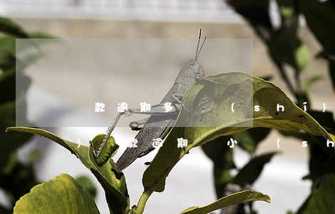 貸款逾期多長時(shí)間收費(fèi)(貸款逾期幾小時(shí)嚴(yán)重嗎)