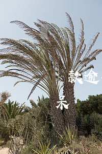 貸款逾期多長時(shí)間進(jìn)呆滯(貸款逾期久了會(huì)被拘留嗎)