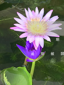 貸款逾期多長時間到關(guān)注(貸款逾期被關(guān)注什么時候可以取消?)