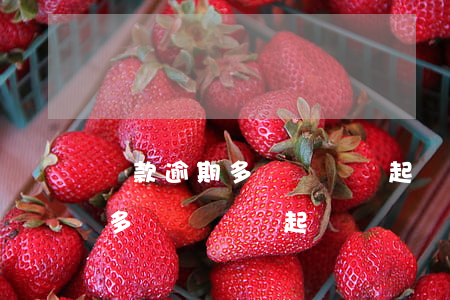 貸款逾期多長時間會起訴(銀行信用貸款逾期多長時間會起訴)