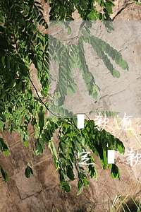 貸款逾期天數(shù)分類認(rèn)定(貸款逾期天數(shù)的計(jì)算公式)