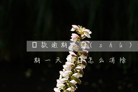 貸款逾期天數(shù)可以清除嗎(貸款逾期一天記錄怎么消除)
