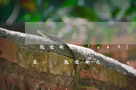貸款逾期天數(shù)的對信用的影響程度-貸款逾期天數(shù)及對應(yīng)的分類
