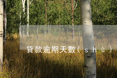 貸款逾期天數(shù)計(jì)算