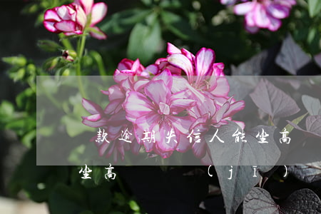 貸款逾期失信人能坐高鐵(貸款逾期失信人能坐高鐵,飛機(jī)嗎?)