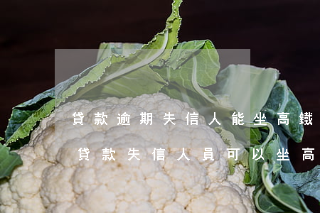 貸款逾期失信人能坐高鐵,飛機(jī)嗎?-貸款失信人員可以坐高鐵嗎