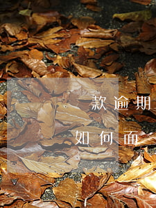 貸款逾期如何面對(duì)催收(貸款逾期如何面對(duì)催收)