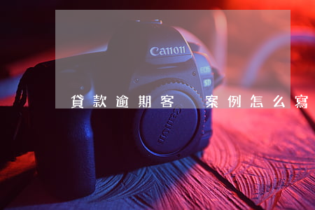 貸款逾期客戶案例怎么寫