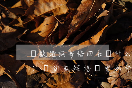 貸款逾期寄信回去寫什么(收到網(wǎng)貸逾期短信說寄函件)