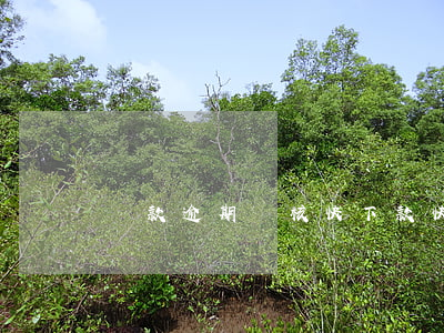 貸款逾期審核快下款快(下款快的貸款)