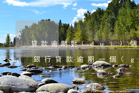 貸款逾期對(duì)個(gè)人的影響(銀行貸款逾期一個(gè)月對(duì)個(gè)人信用有什么影響)