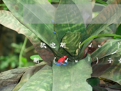 貸款逾期對(duì)子女有何影響(貸款逾期對(duì)子女有影響沒(méi)有?)