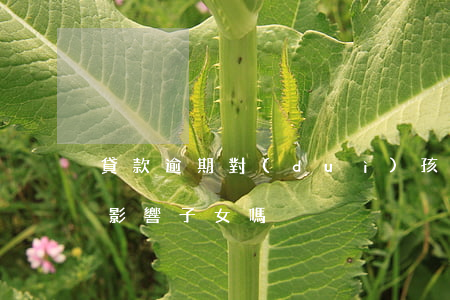 貸款逾期對(duì)孩子上戶口(貸款逾期影響子女嗎)