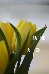 貸款逾期對(duì)買房有影響嗎(逾期多久影響貸款買房)