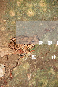 貸款逾期對信用卡有影響嗎（信用卡逾期后會影響什么）