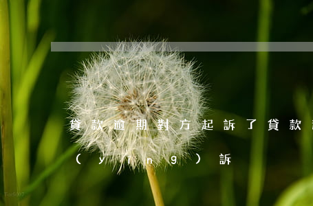 貸款逾期對方起訴了(貸款逾期被起訴如何應(yīng)訴)