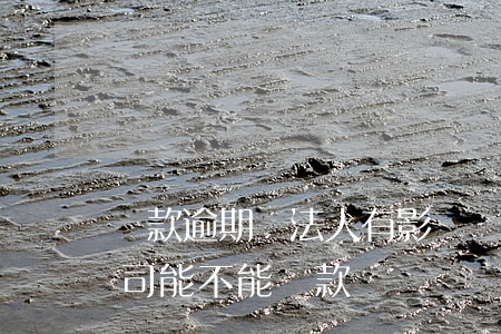 貸款逾期對法人有影響嗎(公司法人有逾期,公司能不能貸款)