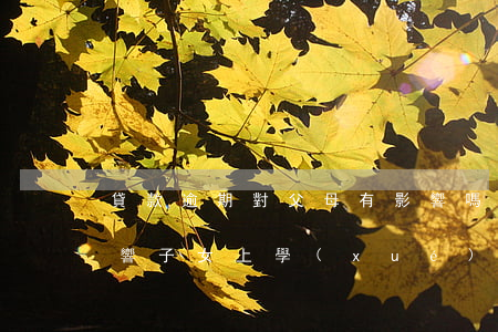 貸款逾期對父母有影響嗎(父母貸款逾期會影響子女上學(xué)嗎)