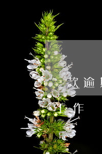 貸款逾期對自己有什么影響（小貸逾期會影響工作）