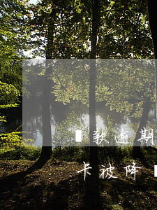 貸款逾期導(dǎo)致信用卡降額(還信用卡被降額)