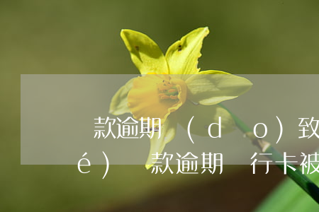 貸款逾期導(dǎo)致銀行卡凍結(jié)(貸款逾期銀行卡被凍結(jié)怎么辦)