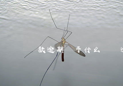 貸款逾期屬于什么風險(逾期貸款是指)