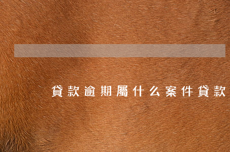 貸款逾期屬什么案件(貸款逾期屬于違法嗎)