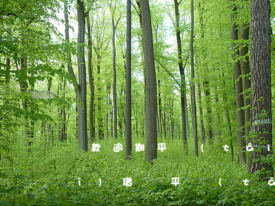 貸款逾期平臺(tái)找本人(正規(guī)借貸平臺(tái)逾期怎么處理)