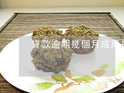 貸款逾期幾個月成黑戶(逾期成為黑戶怎么辦)