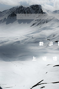 貸款逾期幾分鐘上征信嗎(貸款利息逾期幾天上征信)
