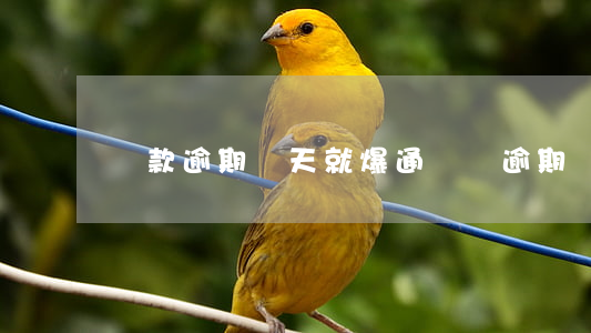 貸款逾期幾天就爆通訊錄(逾期兩天被爆通訊錄)