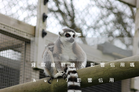 貸款逾期幾天影響信用嗎(房貸逾期多久會(huì)影響信用)
