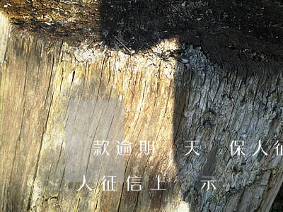 貸款逾期幾天擔保人征信(借款人有逾期擔保人征信上顯示嗎?)