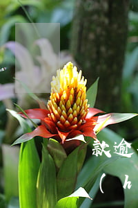 貸款逾期幾天會(huì)上門嗎(逾期多久會(huì)上門)