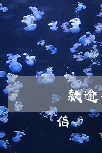 貸款逾期幾天會上征信（信用卡逾期幾月上征信）