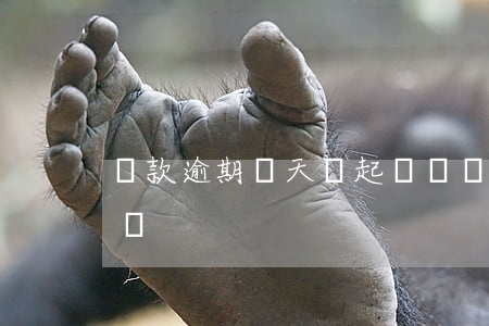 貸款逾期幾天會起訴嗎(貸款逾期多久可以起訴)