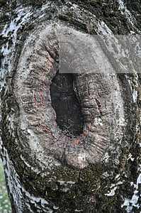 貸款逾期幾天有關(guān)系嗎(貸款逾期多久算嚴(yán)重啊)