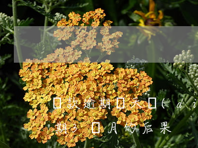 貸款逾期幾天調(diào)可疑類(貸款逾期3個月的后果)